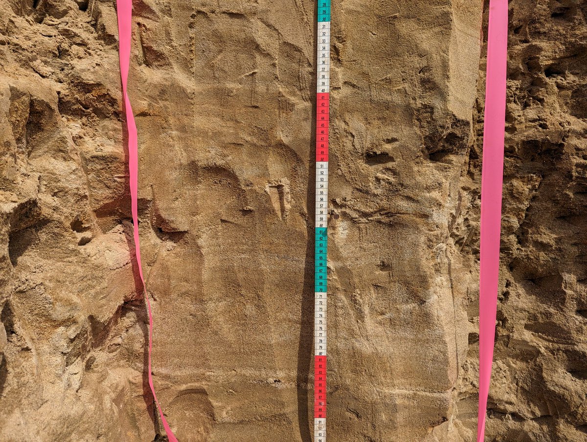 MierMur's tweet photo. Happy World Soil Day. Grateful for the people in my life that showed (and continue to show) me the world beneath our feet. https://t.co/cHPxwPaq8T