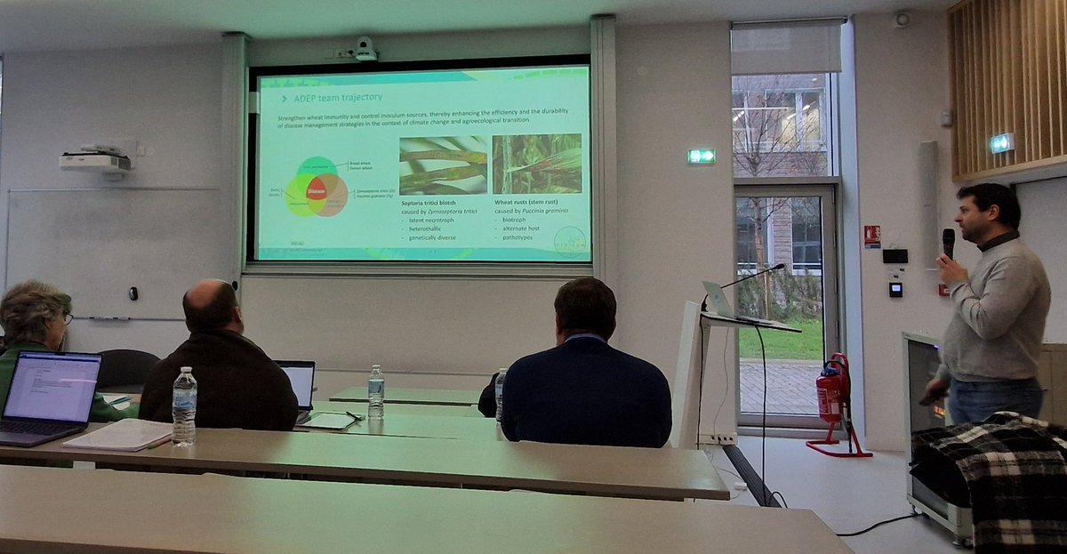 wheatpath's tweet photo. Our #ADEP team, established in early 2024, was introduced today by Thierry Marcel to the @Hceres_ commission for the evaluation @INRAE_Bioger. https://t.co/4bDGIDtOH3