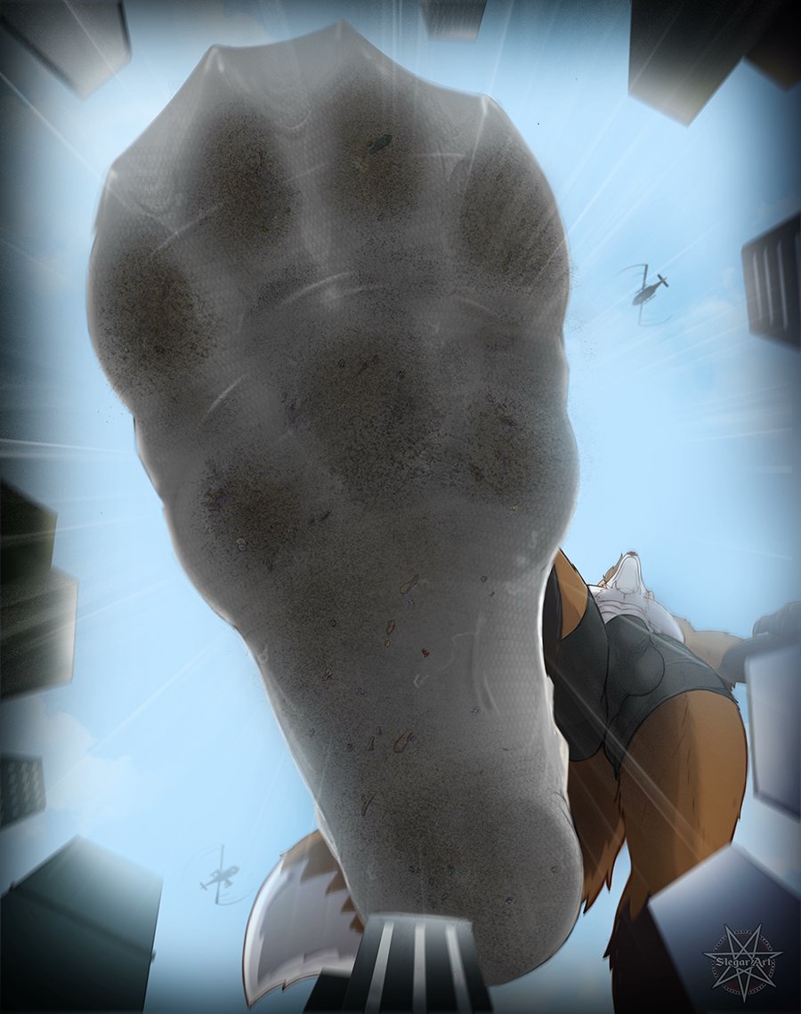 eviller fox 🔞🦊 tweet media