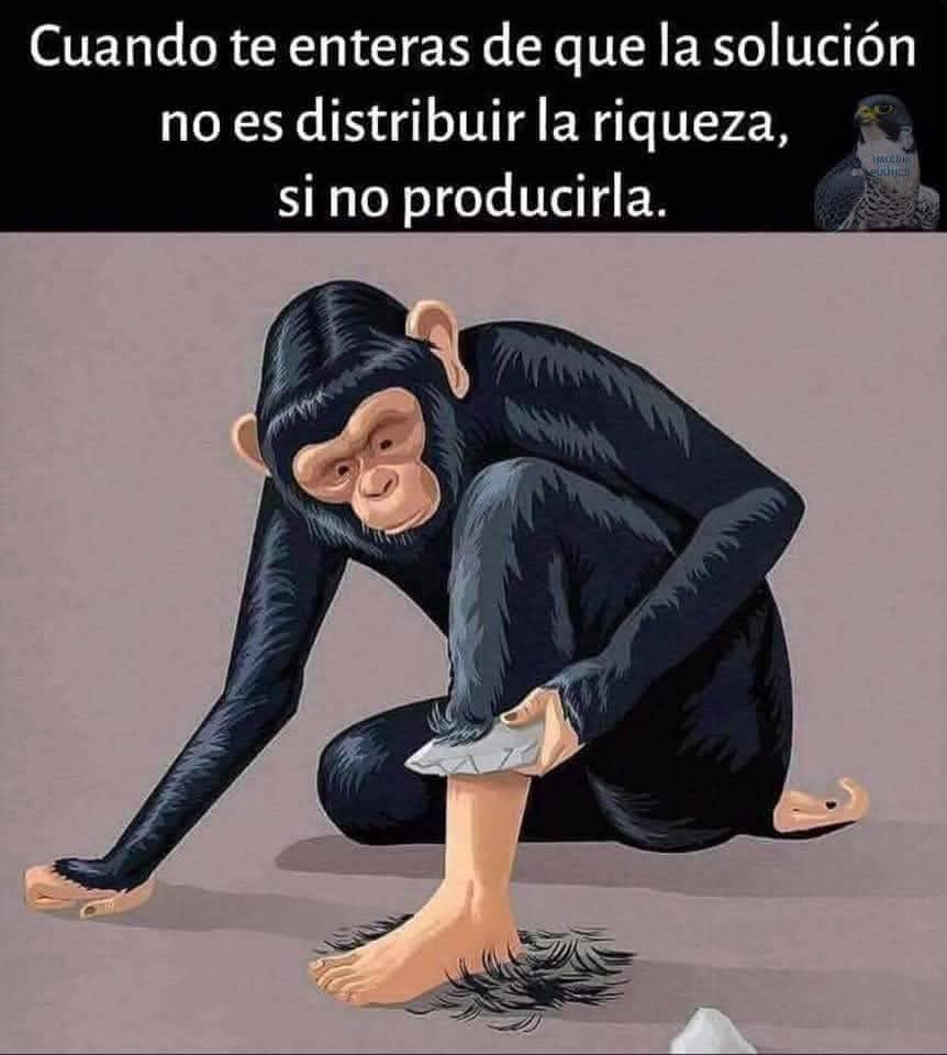 NoVive_Socialis's tweet photo. Buenos días https://t.co/ZoYYcDO6Xf