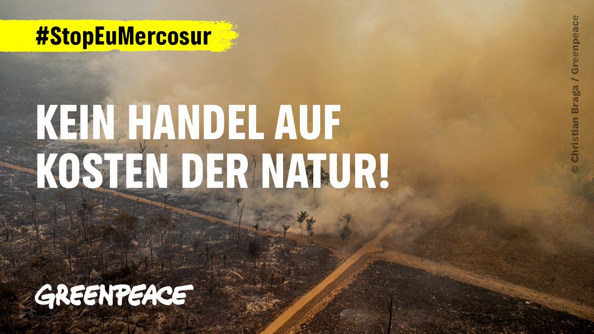 Greenpeace e.V. (@greenpeace_de) on Twitter photo 🚨<a href="/vonderleyen/">Ursula von der Leyen</a> will Giftvertrag #EUMercosur in Südamerika unterzeichnen!
Der Handelsdeal:
🚜schadet Landwirt:innen in D
💔verletzt Menschenrechte
🌴zerstört den #Amazonas Regenwald
☠️erhöht den Pestizideinsatz
🐮steigert Fleischimporte
#StopEUMercosur NOW! 1/2 🚨<a href="/vonderleyen/">Ursula von der Leyen</a> will Giftvertrag #EUMercosur in Südamerika unterzeichnen!
Der Handelsdeal:
🚜schadet Landwirt:innen in D
💔verletzt Menschenrechte
🌴zerstört den #Amazonas Regenwald
☠️erhöht den Pestizideinsatz
🐮steigert Fleischimporte
#StopEUMercosur NOW! 1/2