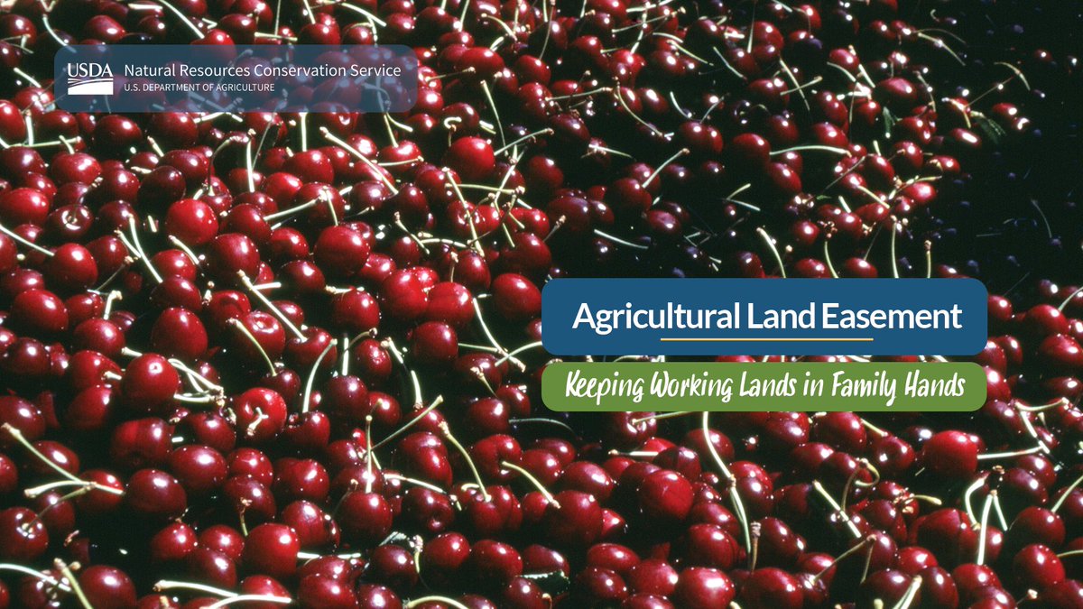 NRCS_MI's tweet photo. The excellent soil, sloping beauty, and connectivity to other farms out the Kiessel Orchard at risk for development. To ensure the land would never be developed, owners Ed and Don Kiessel placed the farm in an NRCS conservation easement. #WorldSoilDay https://t.co/5eYeStmgZM