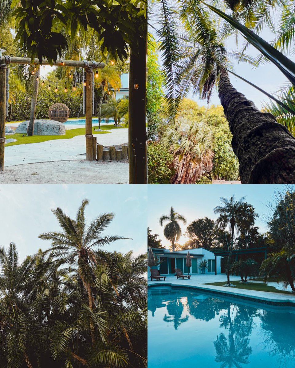 In the Garden 🌴
Early morning Art Basel vibe 
<a href="/RebudOfficial/">Rebud</a> <a href="/TheGardensNFT/">The Gardens</a>