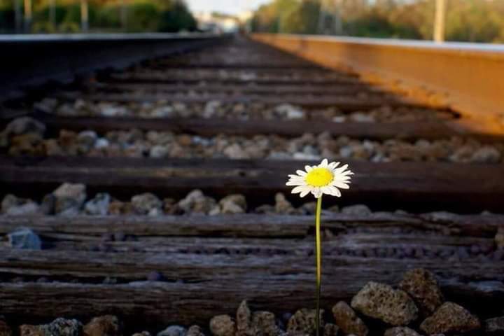 Gobey143's tweet photo. Never give up https://t.co/vf6aIQZxP4