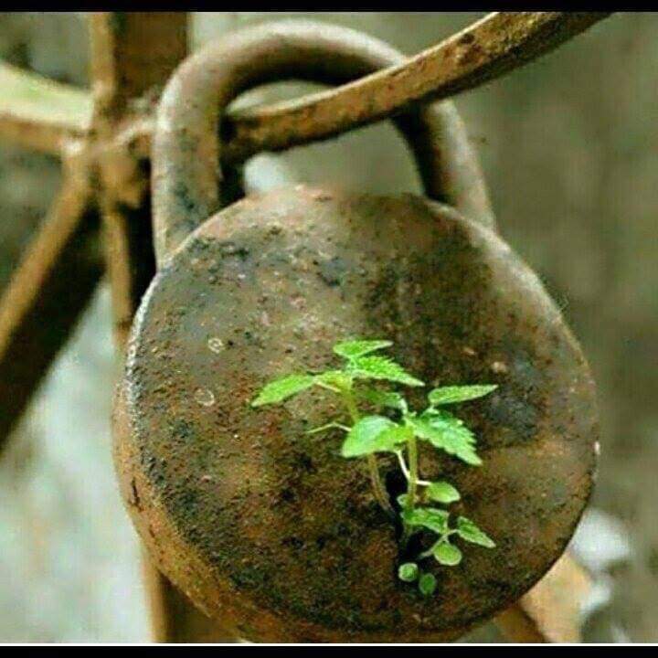 Gobey143's tweet photo. Never give up https://t.co/vf6aIQZxP4