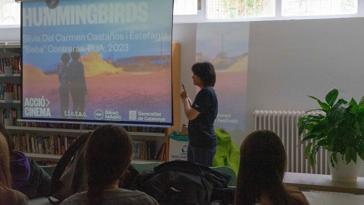 Drac Màgic tweet media