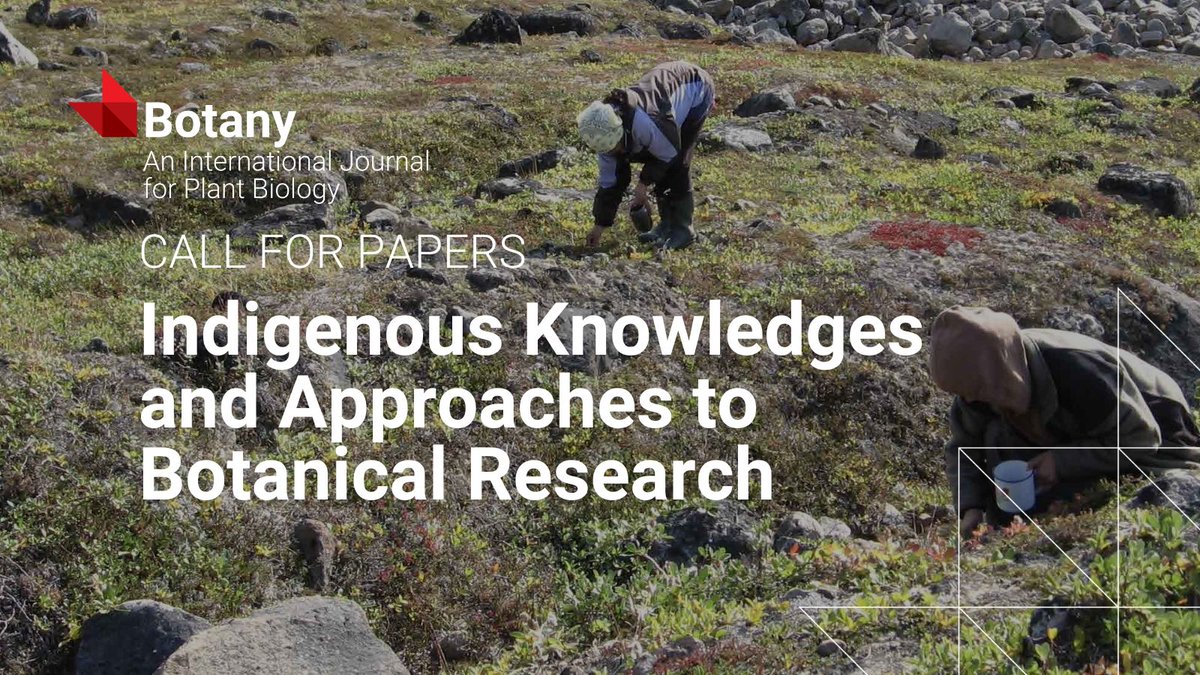 Botany_Journal's tweet photo. ๐ฑ Call for papers! ๐ข Botany is seeking perspectives on biodiversity and sustainability through Indigenous Knowledges. Submit by Mar 12, 2025 โถ๏ธ https://t.co/RbqSDAUk0G
Guest Editors: @NoemieBLap et al. #Biodiversity #BotanyJournal @CanBotanical @cspbscbv https://t.co/qc7yQZAhIo