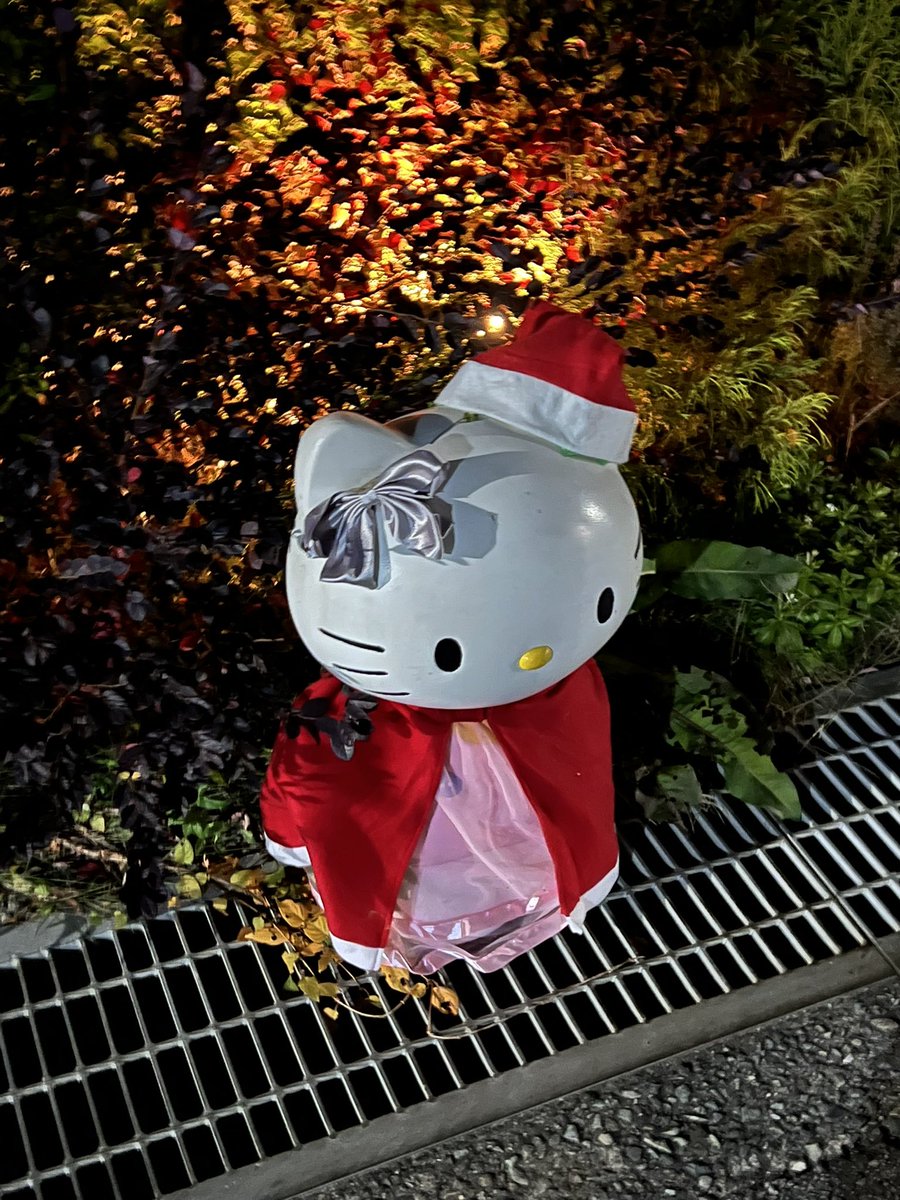 tacos_ch's tweet photo. 道端にキティちゃん捨てられてて草 https://t.co/ks5ieHYCo0