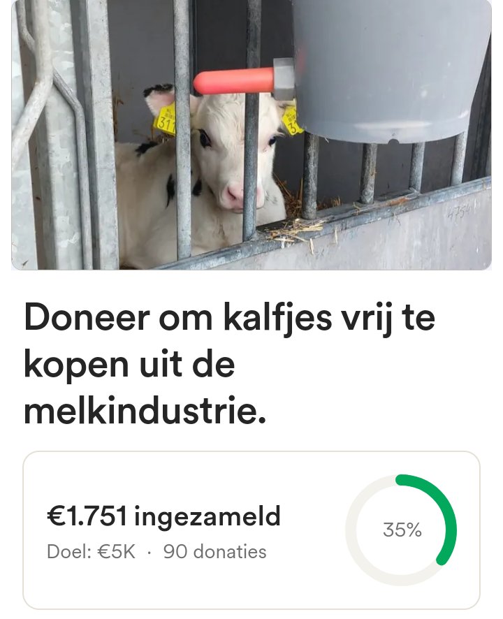 Kalfjes in Beeld tweet media