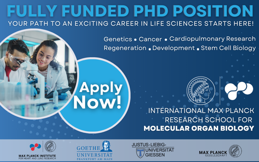 IMPRS for Molecular Organ Biology (@imprs_mob) on Twitter photo Want to be part of a collaborative and cutting-edge research environment? 🧑🔬Join our scientific hub and boost your career in #molecular #organ #biology 🫀🫁🧬 Apply now 👉 imprs-mob.opencampus.com   #PhDposition  #Genetics #development Want to be part of a collaborative and cutting-edge research environment? 🧑🔬Join our scientific hub and boost your career in #molecular #organ #biology 🫀🫁🧬 Apply now 👉 imprs-mob.opencampus.com   #PhDposition  #Genetics #development
