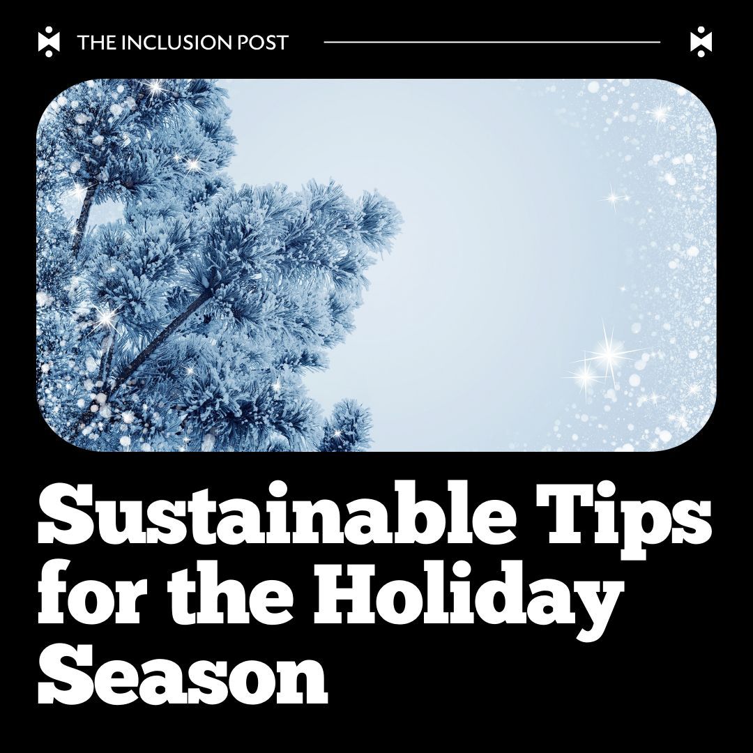 inclusionpost's tweet photo. This festive season, let’s celebrate while caring for our planet! 🌍 

🎁 Eco-Friendly Wrapping
🎄 Decorations That Last
🍽️ Shop Local
✨ Energy-Efficient Lighting
🎅 Thoughtful Gifting

How are you keeping it green this year? Share your ideas below! 🌱✨

#SustainableHolidays https://t.co/2R2WR18Xb2