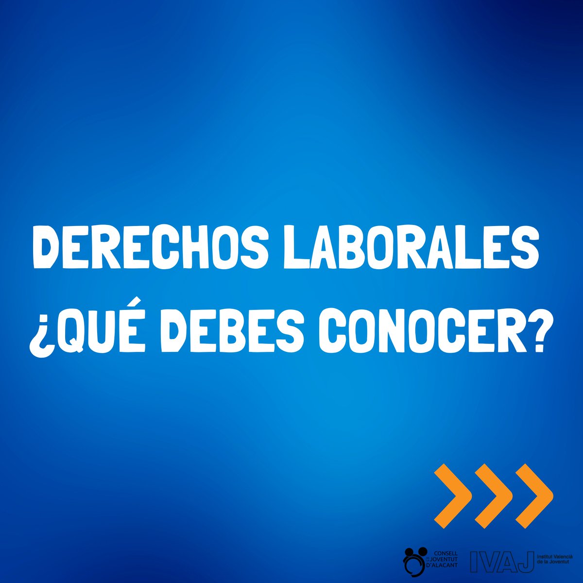 Consell de la Joventut d'Alacant 💬 tweet media