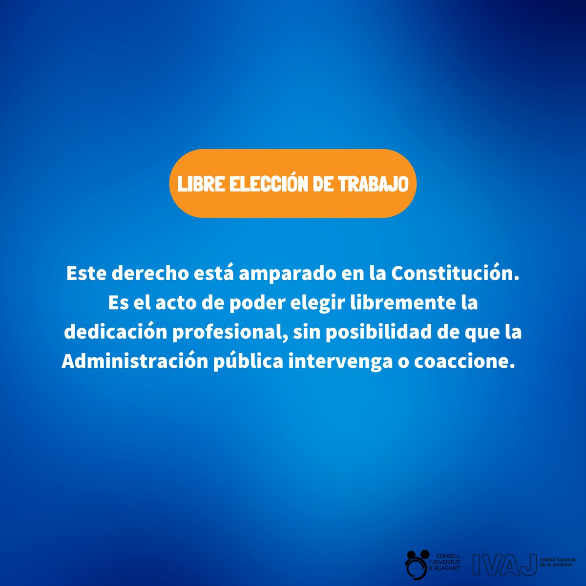 Consell de la Joventut d'Alacant 💬 tweet media