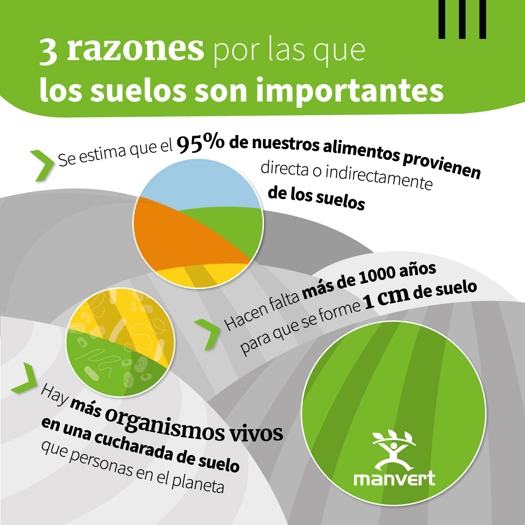 manvert_'s tweet image. 🤔¿Sabías que el suelo alberga más del 25% de la diversidad biológica del planeta?
Protegerlo es proteger nuestra salud, la de los animales y la salud del planeta.

Para un futuro sostenible, cuidemos nuestros suelos🌱
#DíaDelSuelo #ODS #Compromisomanvert