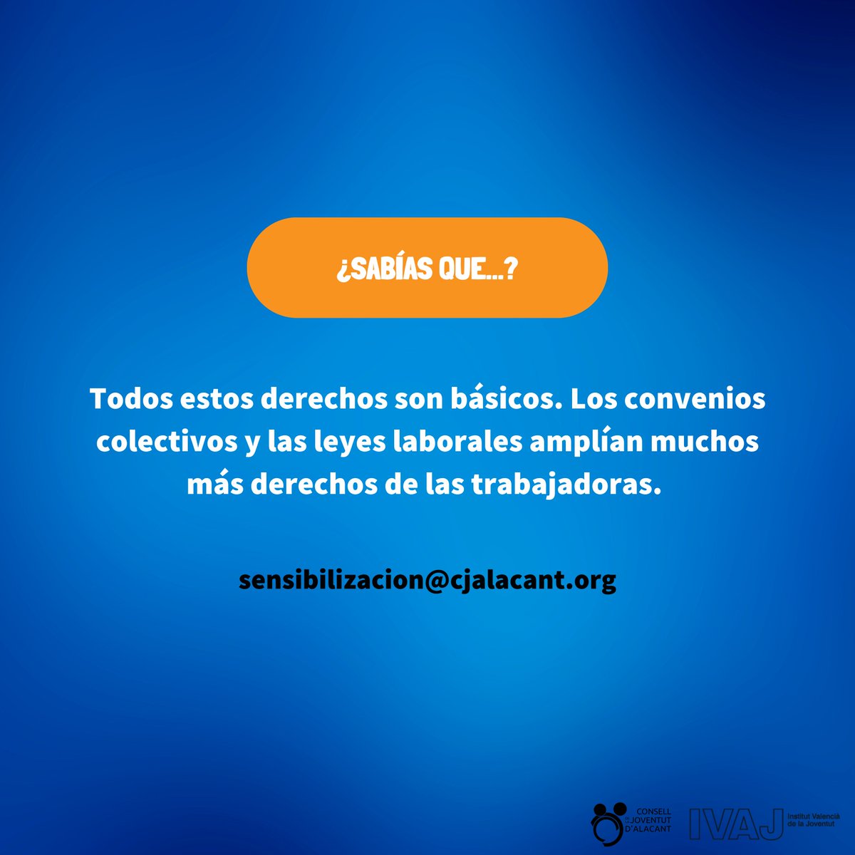 Consell de la Joventut d'Alacant 💬 tweet media