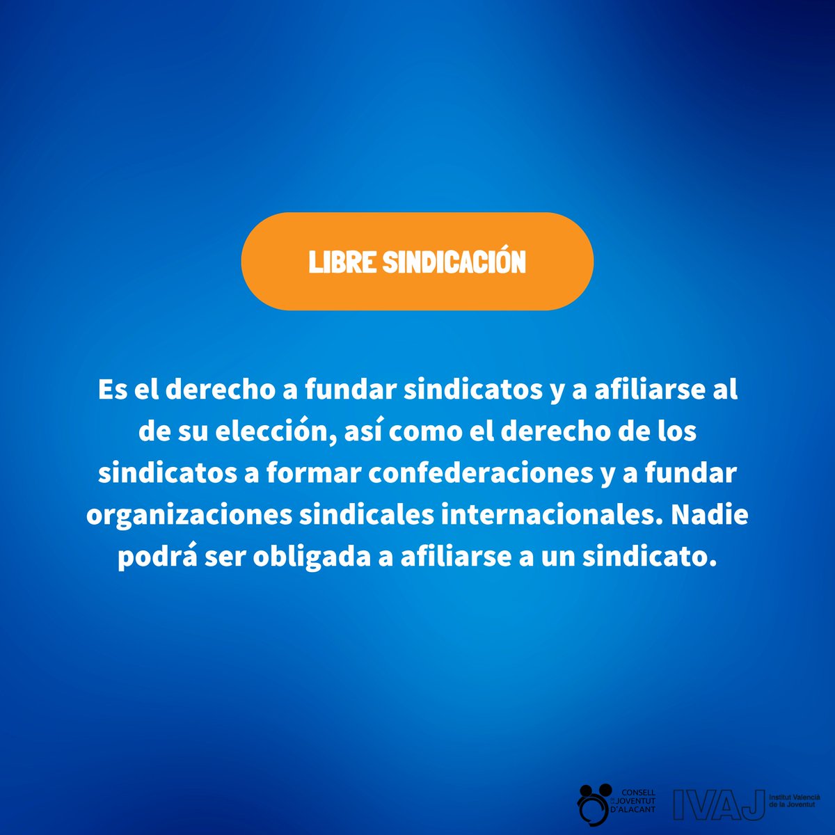 Consell de la Joventut d'Alacant 💬 tweet media
