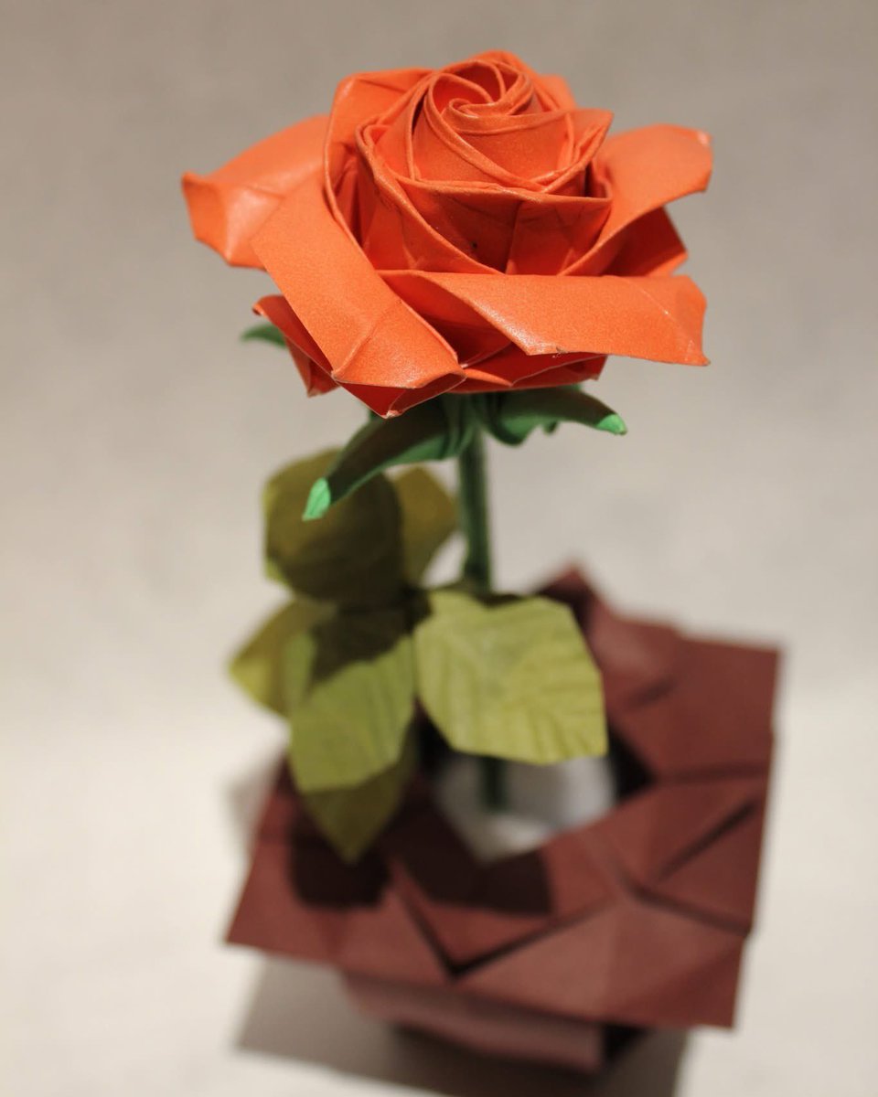 CHAOS Origami tweet media