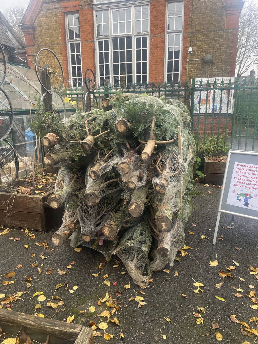 St Mark's School tweet media