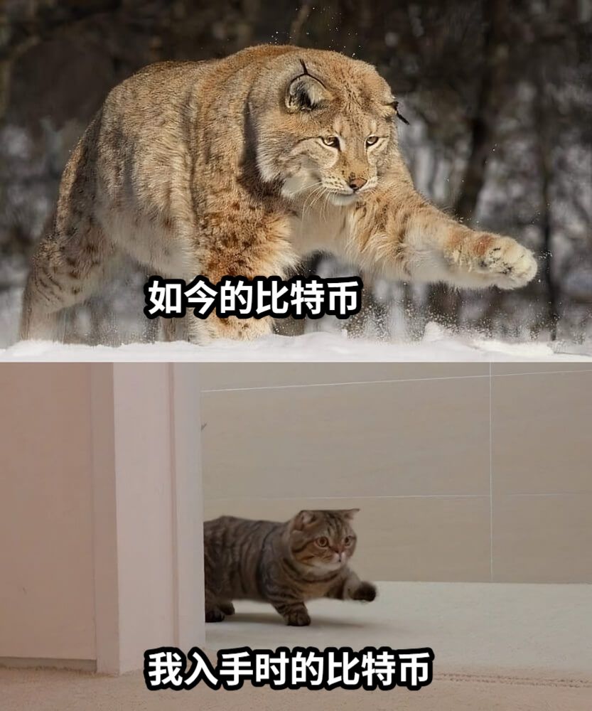 Pan6345's tweet photo. @binancezh @Avs96hai @BarlowDodd2 @EarlieedeEarlie 今天突破10w！🥳 记得特朗普选举那时候，比特币的价格是6.8万，我才刚刚入场，结果因为不熟悉app操作，等到它涨到7.5万美元时才终于下手😂💸 在参与币圈的短短时间里，跌宕起伏，偶尔涨得让人开心，偶尔跌得让人捏把汗。希望以后同大家一起陪伴和见证 https://t.co/oLfiedObnz