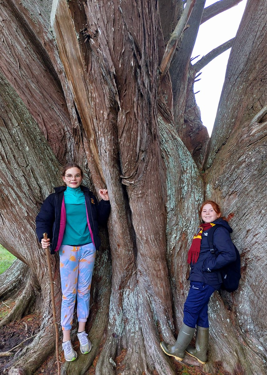 ForoigeDonegal's tweet photo. Be Wild Be Free workshop by Wild Awake. Practical workshop at Ards Friary Forest/Beach was a positive opportunity for NorthWest Foróige CFSN connects into green spaces. Greatly appreciate funding support from #healthydonegal #DonegalCoCo #Healthyireland #civicdollars @Foroige https://t.co/3h9HNV0tEa