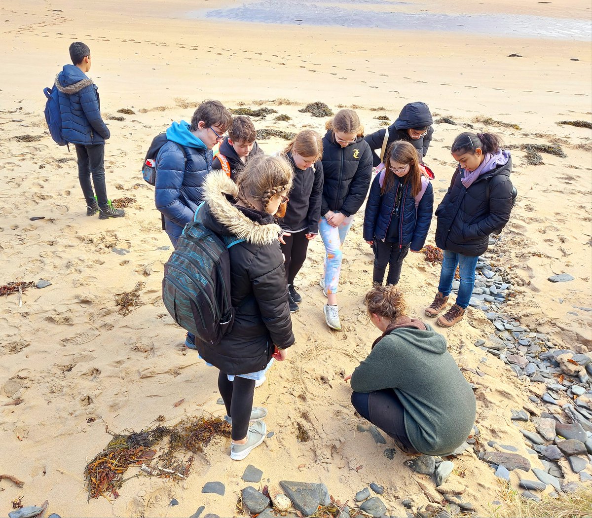 ForoigeDonegal's tweet photo. Be Wild Be Free workshop by Wild Awake. Practical workshop at Ards Friary Forest/Beach was a positive opportunity for NorthWest Foróige CFSN connects into green spaces. Greatly appreciate funding support from #healthydonegal #DonegalCoCo #Healthyireland #civicdollars @Foroige https://t.co/3h9HNV0tEa
