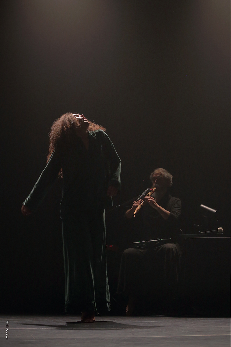 Katapulta Plataforma tweet media