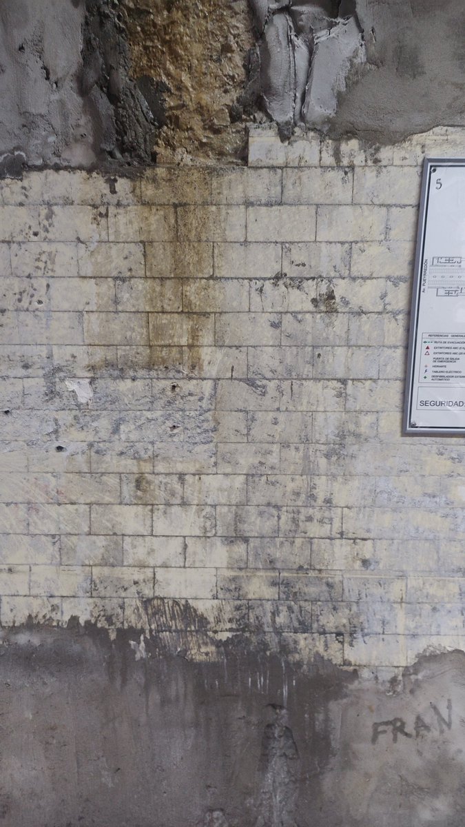 apologiadelonce tweet media