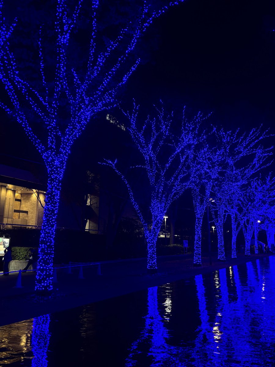 aspra_i's tweet photo. #山下達郎
#performance2024 🎄 https://t.co/oCNQGLZkvJ