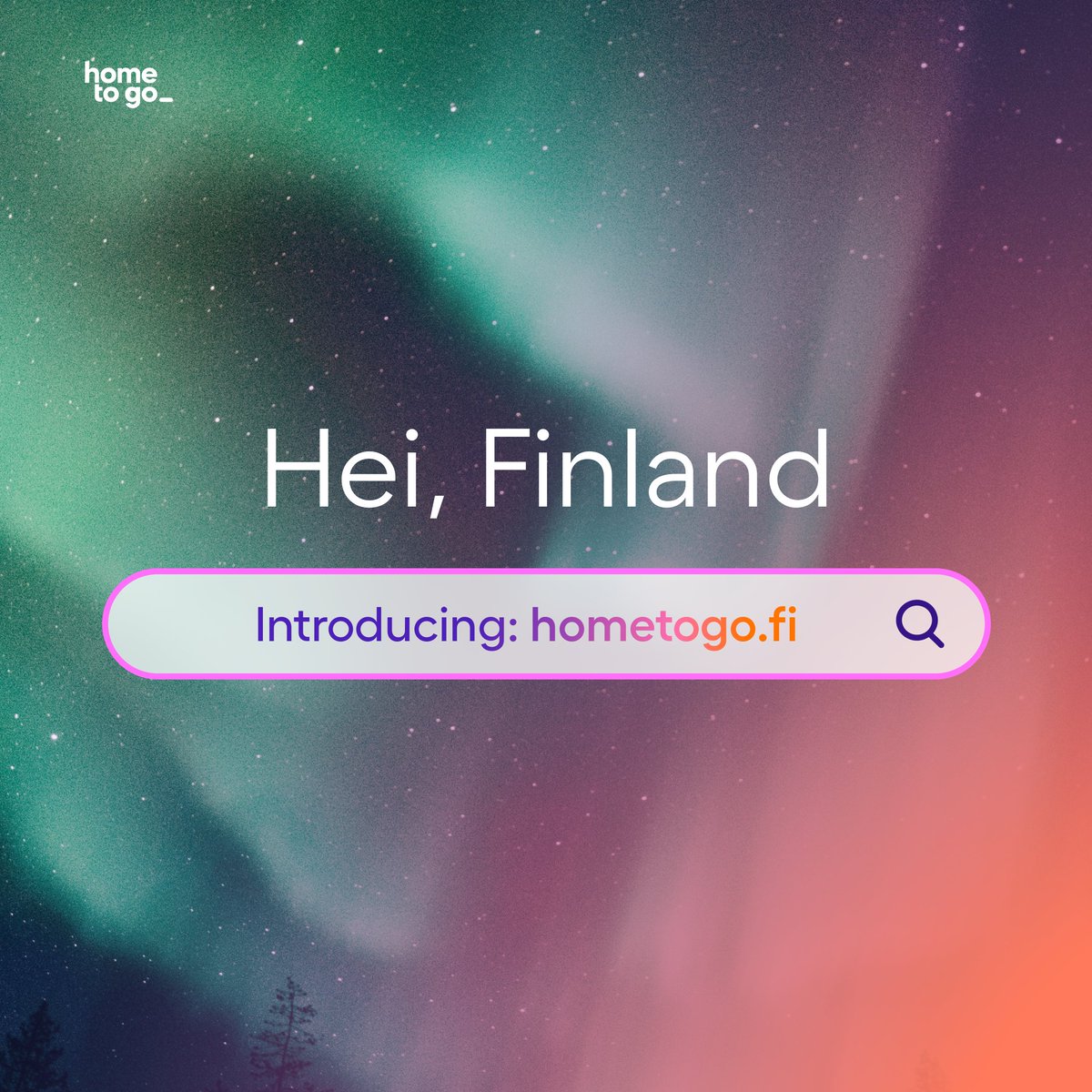 HomeToGo tweet media