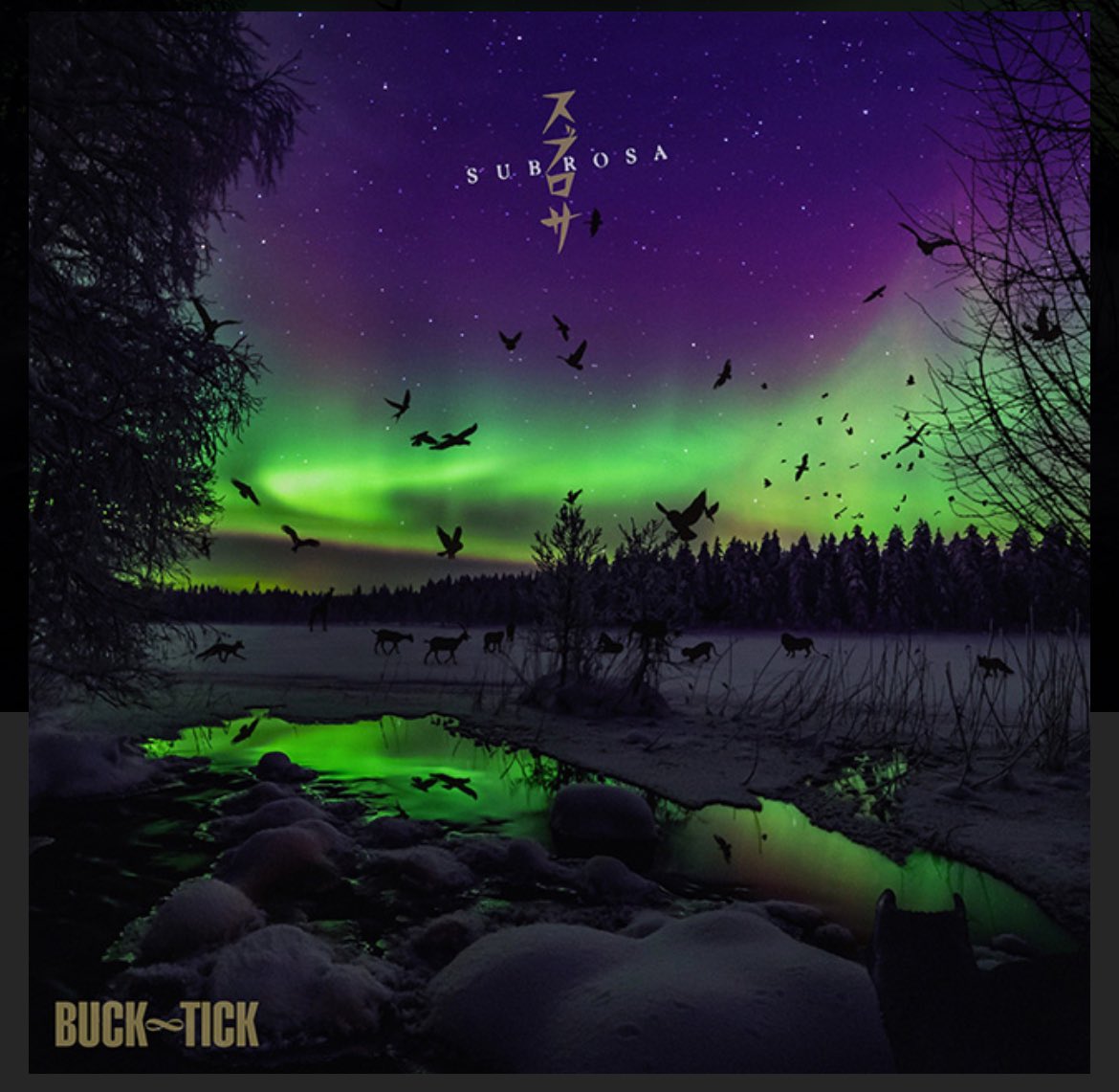 舞い上がっていく小さな音の欠片にまで、大切な想いと祈りが宿っていた。容赦ない不都合な現実と葛藤の中、真っ向から立ち向かっている音の勇士たちの姿があった。同じ音を紡ぐ者として、言葉にならない感銘を受け、己の不甲斐なさを恥じた。秘密の薔薇の誓い。

「スプロサ SUBROSA」