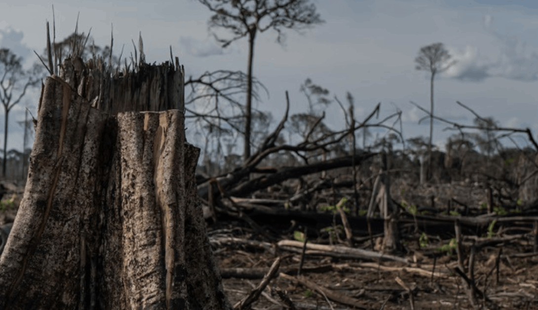 AmigosTierraEsp's tweet photo. ⌛️El año de retraso que el @Europarl_ES ha establecido a la normativa contra la #DeforestacionImportada le costará al planeta un daño tan importante como innecesario, pero al menos no le han metido la tijera a una norma que tanto costó sacar adelante ⛔️✂️ https://t.co/bj4hyqTGvP https://t.co/zCKPyEk59l