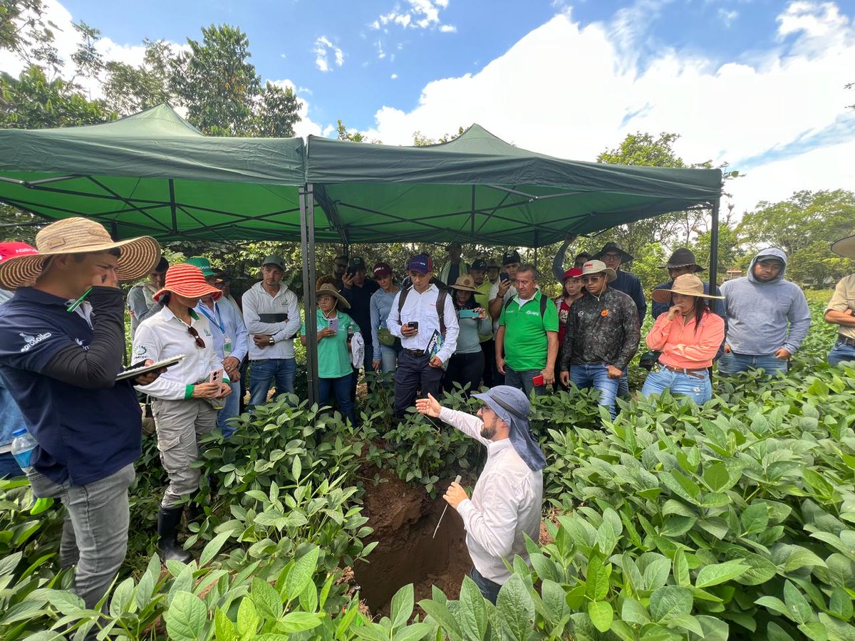 FLAR🌾🍚 (@arrozflar) on Twitter photo Del 19 al 28 de octubre, expertos de @FEDEARROZ, <a href="/arrozFLAR/">FLAR🌾🍚</a> y <a href="/efieldcrops/">Equipe FieldCrops</a>/<a href="/UFSM_oficial/">UFSM - Universidade Federal de Santa Maria</a> visitaron parcelas demostrativas del sistema arroz🌾-soya🌱 en Tolima y Meta, #Colombia🇨🇴. Así avanza la implementación de este sistema▶️flar.org/avances-del-pr… Del 19 al 28 de octubre, expertos de @FEDEARROZ, <a href="/arrozFLAR/">FLAR🌾🍚</a> y <a href="/efieldcrops/">Equipe FieldCrops</a>/<a href="/UFSM_oficial/">UFSM - Universidade Federal de Santa Maria</a> visitaron parcelas demostrativas del sistema arroz🌾-soya🌱 en Tolima y Meta, #Colombia🇨🇴. Así avanza la implementación de este sistema▶️flar.org/avances-del-pr…