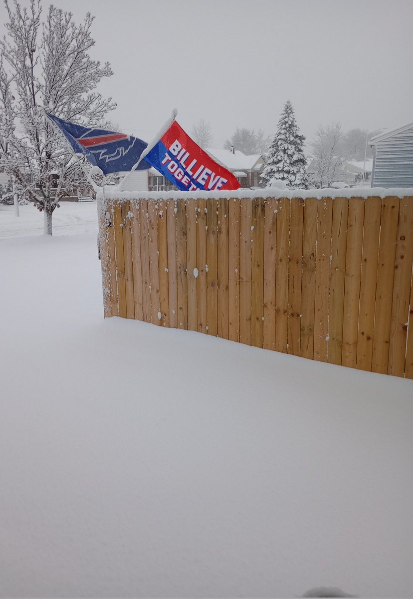 sandyintheburbs's tweet photo. #GoBills #Billieve #BillsMafia 
#BuffaloSnow ❄️☃️❄️ https://t.co/Hoa1tUNOll