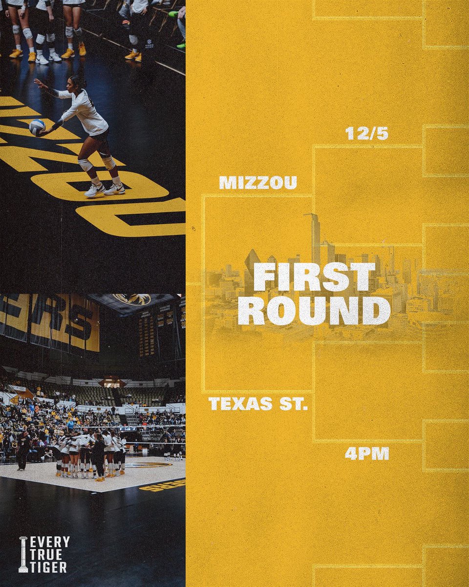 Dallas is the stage, and the Tigers are the stars!⭐️ 🐯
&amp; Cheer on Mizzou Volleyball as they take on Texas State in Round 1 of the NCAA Tournament at 4 PM. Let’s go, Mizzou! 🏐🔥
#MIZ #ETTB @mizzouathletics
<a href="/MizzouVB/">Mizzou Volleyball</a>