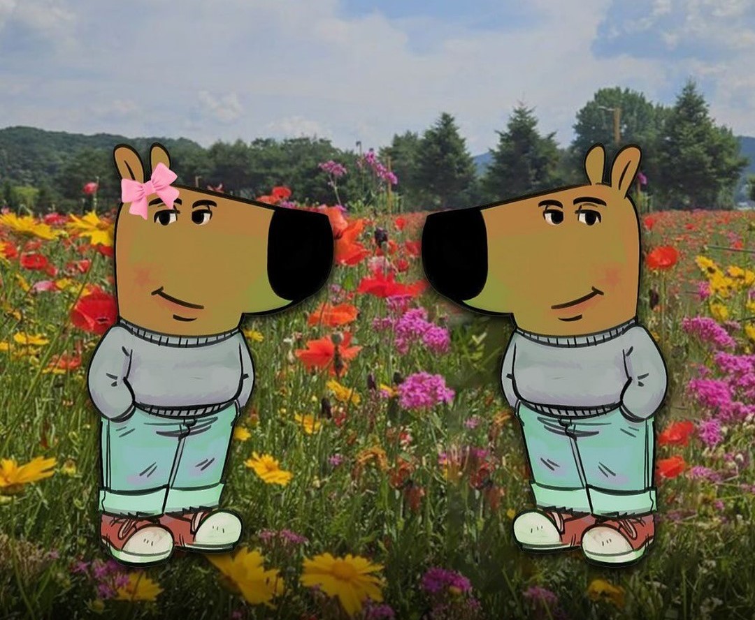 la niki y yo desde que el martes dejamos de ver GH y nos pusimos con masterchef