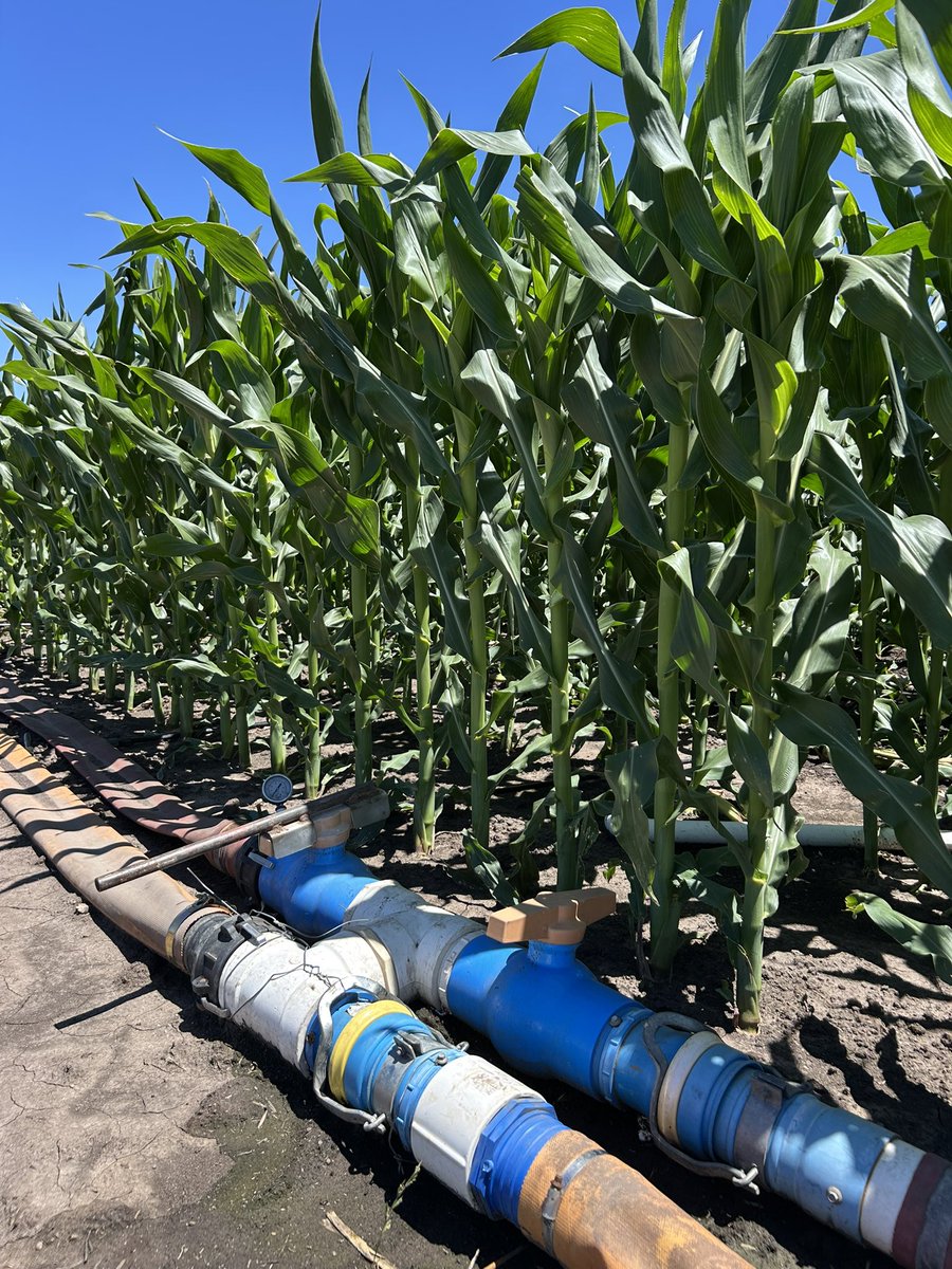 Santiago Bayce tweet media