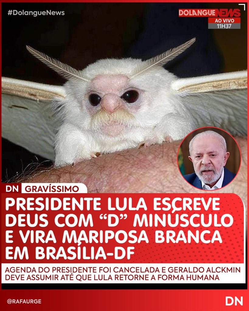 Dolangue News tweet media