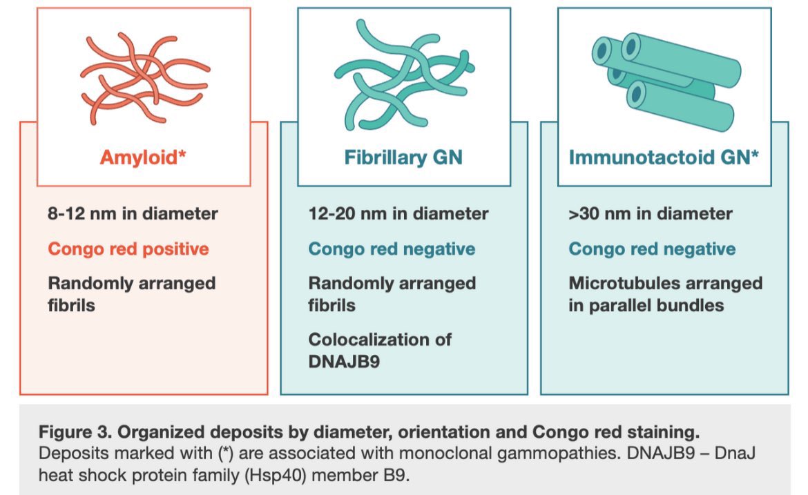 JasmineNephro's tweet photo. 🫘🎯Kidney involvement in Monoclonal gammopathy of renal significance 

@KIReports 

https://t.co/435EFpyLki https://t.co/Ury5opyCjz