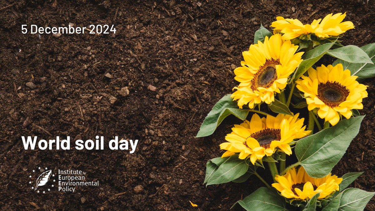 Here's to the soil beneath us! 🌱

This #WorldSoilDay we highlight the importance of measuring, monitoring, and managing soil for food security &amp; sustainable soil management.

Our <a href="/TerrasafeEU/">TERRASAFE</a> project is restoring healthy soil across Europe &amp; Northern Africa by empowering local