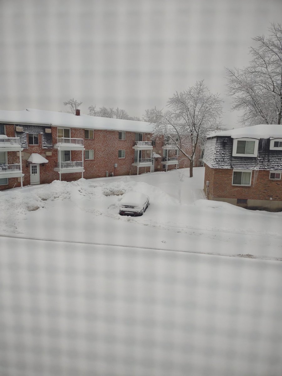 ZeusKingDARK's tweet photo. WTF is a Snow Squall? #BuffaloSnow https://t.co/s6emsL4sDv