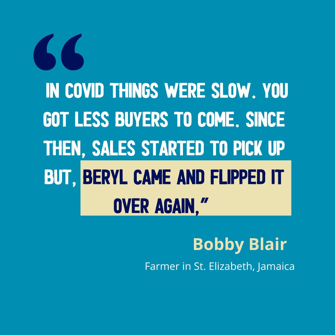 wfp_Caribbean's tweet image. With cash  from WFP, Bobby Blair bought food &amp;amp; much needed fertilizers. Through partnership with
@JamaicaMlss, WFP launched The Beryl Cash Assistance Programme to help 11,500 people after #HurricaneBeryl. This was part of WFP’s overall support for national recovery. #UNSupport