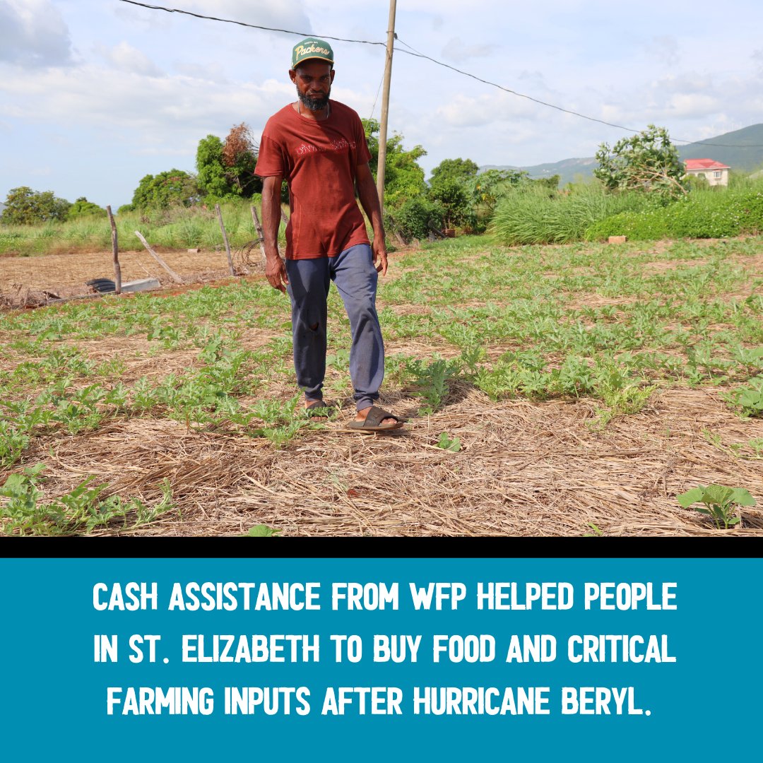wfp_Caribbean's tweet image. With cash  from WFP, Bobby Blair bought food &amp;amp; much needed fertilizers. Through partnership with
@JamaicaMlss, WFP launched The Beryl Cash Assistance Programme to help 11,500 people after #HurricaneBeryl. This was part of WFP’s overall support for national recovery. #UNSupport