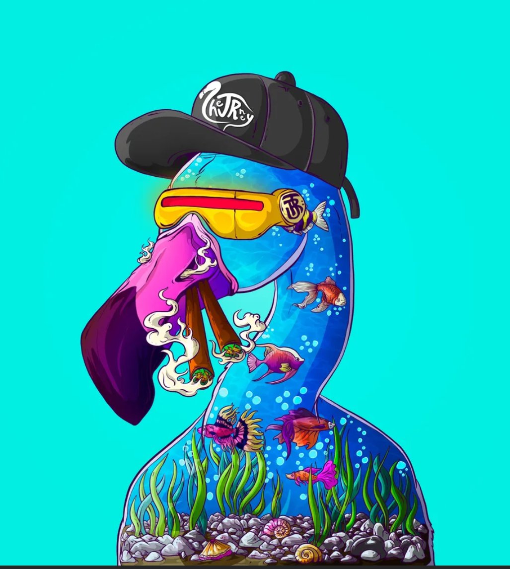 Edem-it₳ tweet media