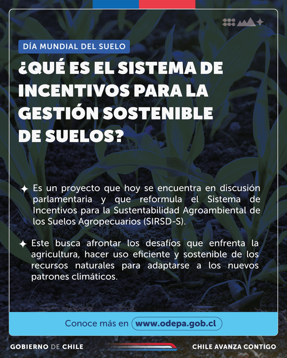¿Sabías que en el <a href="/MinagriCL/">Ministerio de Agricultura de Chile 🇨🇱</a> estamos avanzando para tener una ley que promueva la gestión sostenible de los suelos? 🌱

👉 En el #DíaMundialdelSuelo te contamos sobre el Sistema de Incentivos para la Gestión Sostenible de Suelos Agropecuarios (SIGESS) que se está discutiendo en