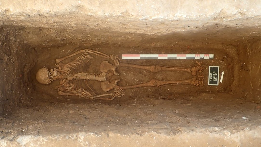 Unité de Taphonomie Médico-Légale & Anatomie tweet media