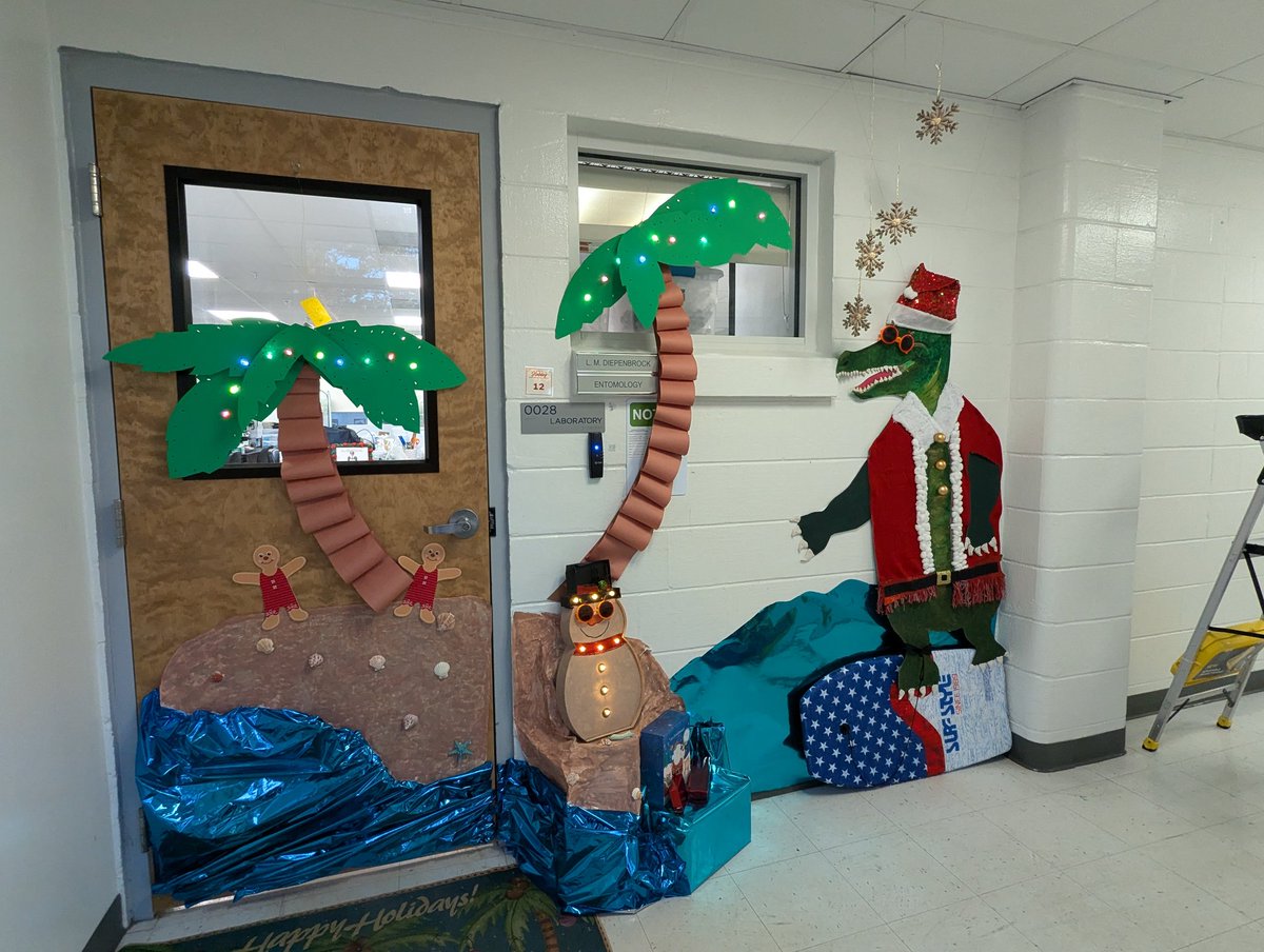 UFCitrusBugs 🍊🐞 (@ufcitrusbugs) on Twitter photo Holiday door decs <a href="/UFIFASCitrusREC/">UF/IFAS Citrus REC</a> - Happy Florida Christmas from the Diepenbrock lab 🐞🍊 Holiday door decs <a href="/UFIFASCitrusREC/">UF/IFAS Citrus REC</a> - Happy Florida Christmas from the Diepenbrock lab 🐞🍊