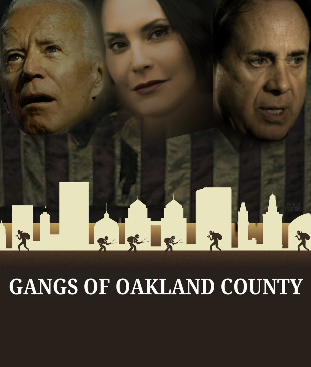 PatriotPostGirl's tweet photo. Thanks to Governor Whitmer’s support of Biden’s open border policies, gangs of illegals continue to terrorize Oakland County with eight more home invasions just this last week. 

#MichiganIsASanctuaryState https://t.co/DMLieTA9ID