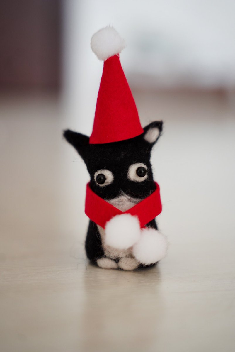 Mini Uni's Christmas outfit

How do I look?