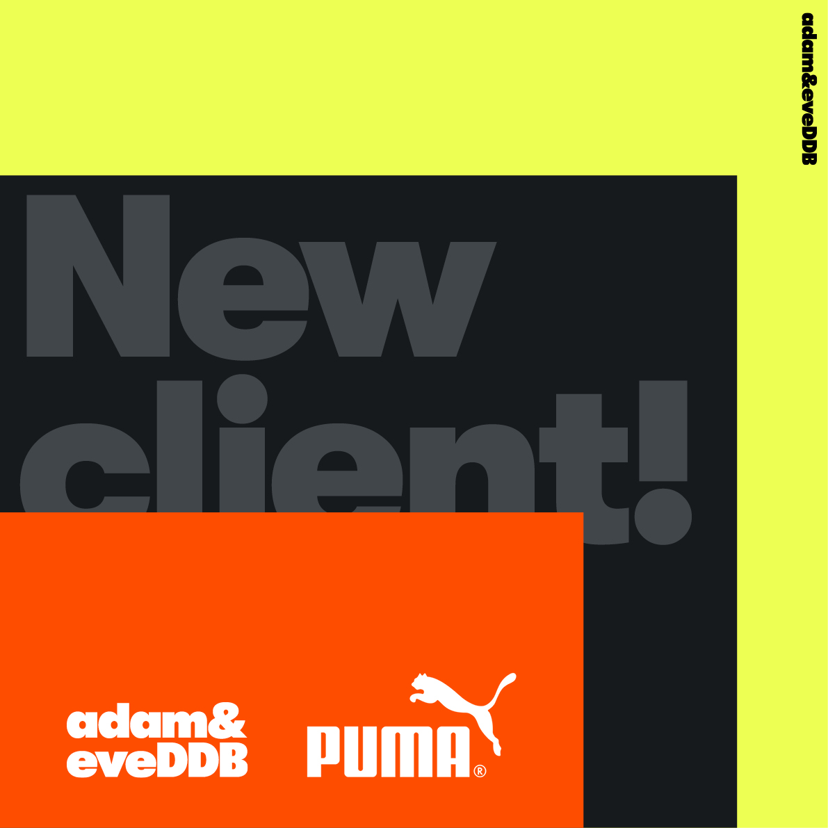 Big welcome to PUMA! 👋

We're so excited to partner with PUMA Group as their global creative agency to bring their new global brand strategy to life, with a new brand campaign going live in 2025! 

Read more below👇
lnkd.in/ewfxbdKb