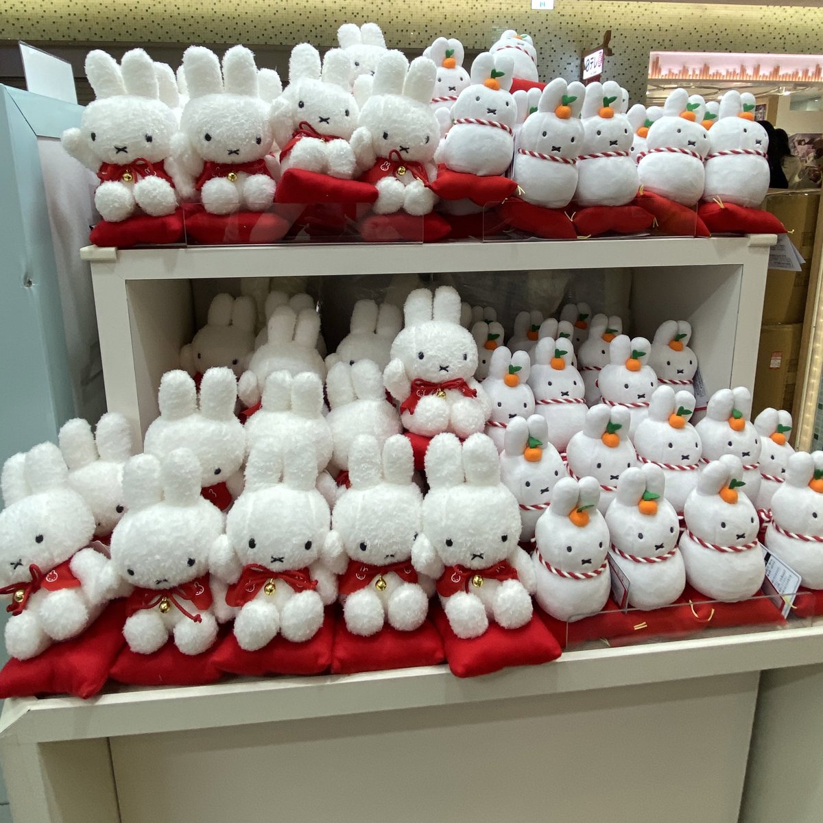 82__percent's tweet photo. this is nintje wonderland ⋆꙳•❅‧*₊⋆☃︎‧*❆₊⋆ https://t.co/ggbt8K0Dgy